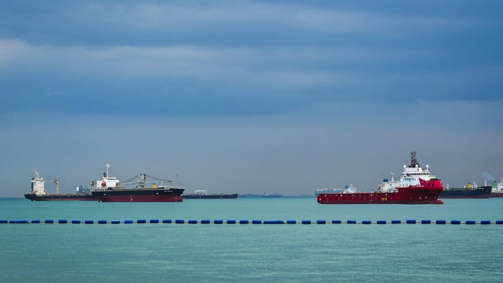 Types of Export Permit in Singapore: A Practical Overview